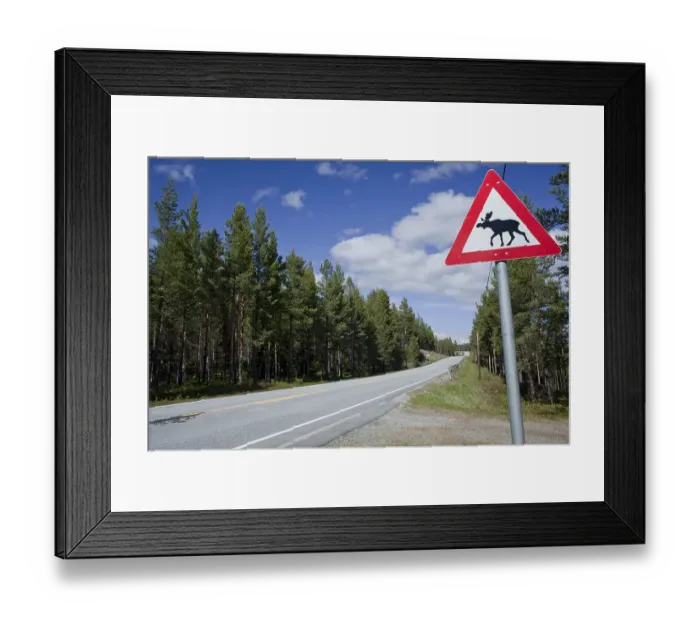 Framed Print : Moose warning sign, Norway, Scandinavia, Europe