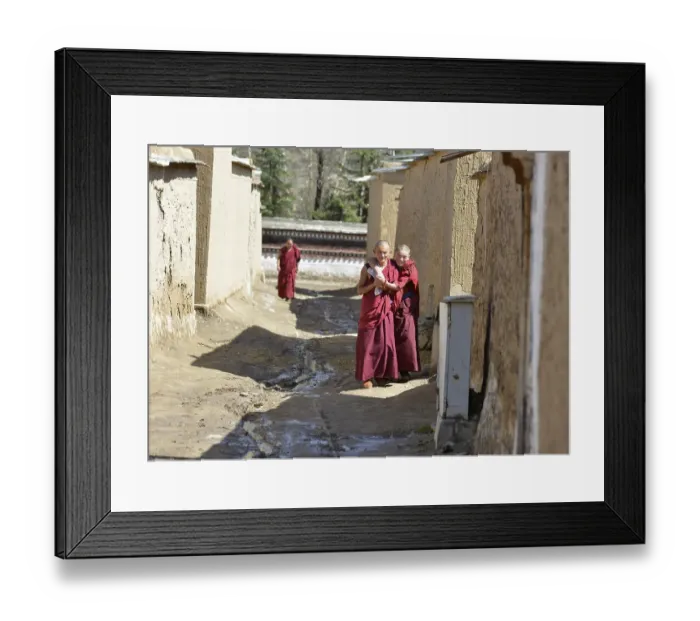 Framed Print : Two novice monks in red monk's robes