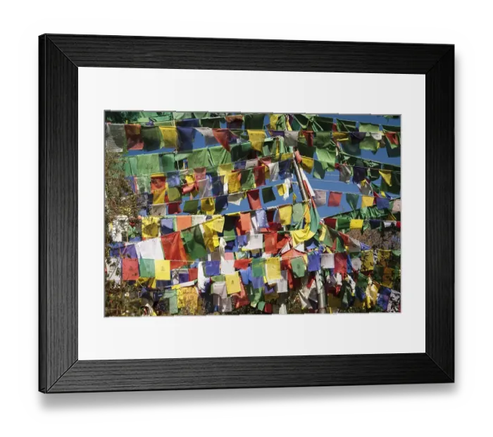 Framed Print : Tibetan prayer flags at the domicile of the Tibetan exile government