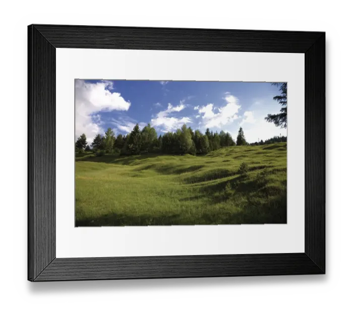 Framed Print : Buckelwiese, literally hummocky meadow Framed Print : Buckelwiese, literally hummocky meadow