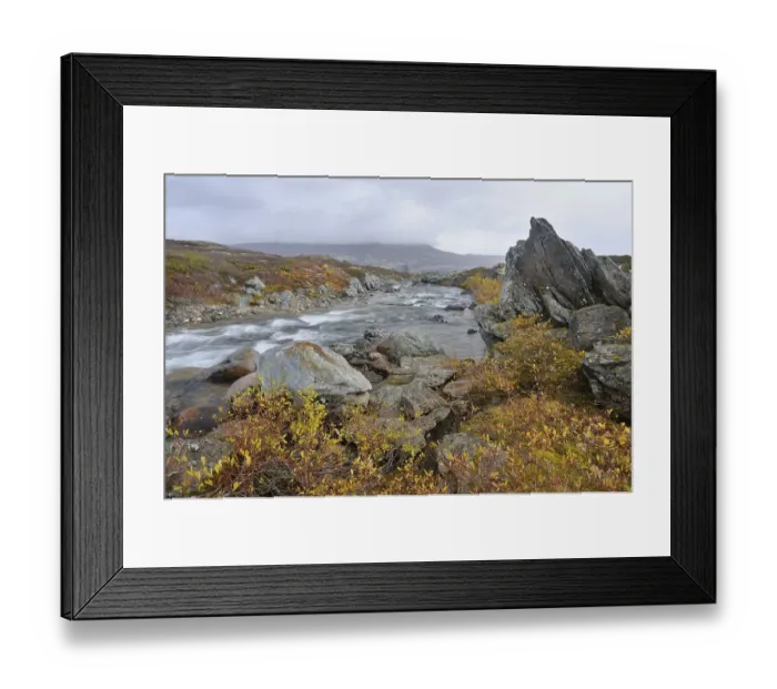 Framed Print : Stropla stream in Dovrefjell Sunndalsfjella National Park Framed Print : Stropla stream in Dovrefjell Sunndalsfjella National Park