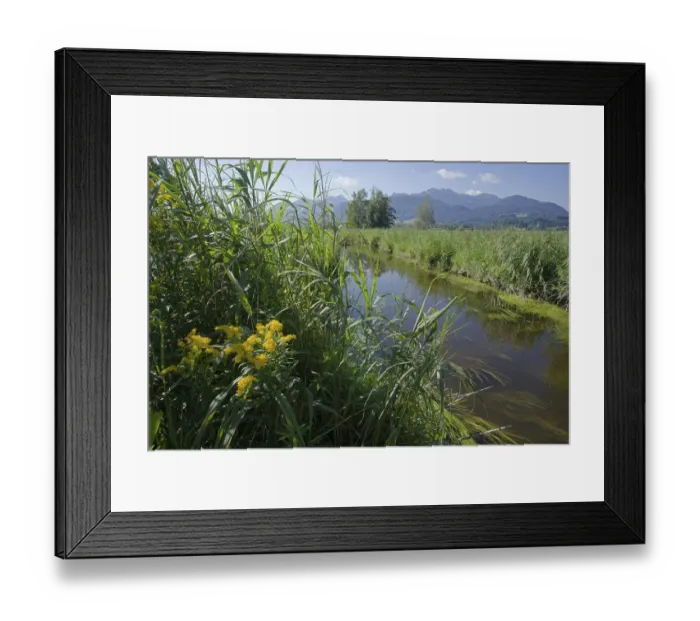 Framed Print : Watercourse in Bernauer moss, Moorland Framed Print : Watercourse in Bernauer moss, Moorland