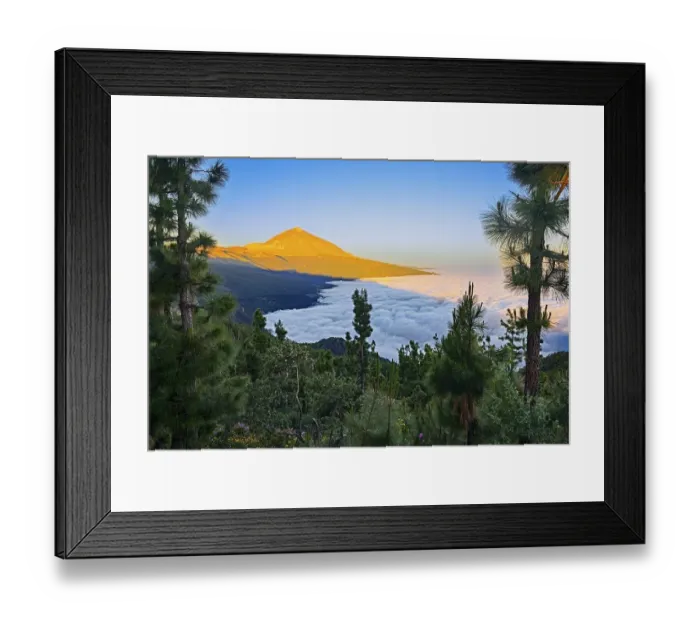 Framed Print : Pico del Teide at sunrise over trade wind clouds