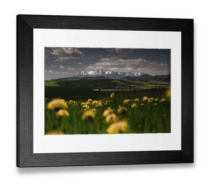 Framed Print : Snowy mountain peaks, trees road