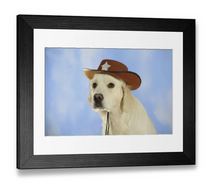 Framed Print : Golden Retriever wearing a cowboy hat Framed Print : Golden Retriever wearing a cowboy hat