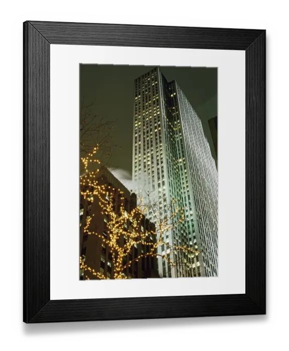 Framed Print : Illuminated trees in front of a skyscraper Framed Print : Illuminated trees in front of a skyscraper