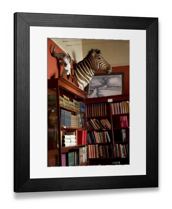 Framed Print : Bookstore Quagga in Kalk Bay Framed Print : Bookstore Quagga in Kalk Bay