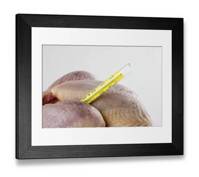 Framed Print : Chicken bird flu influenza pandemic disease illness biohazard danger dangerous health safe safety precaution