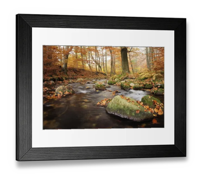 Framed Print : Stream in the Ilsetal valley in autumn Framed Print : Stream in the Ilsetal valley in autumn