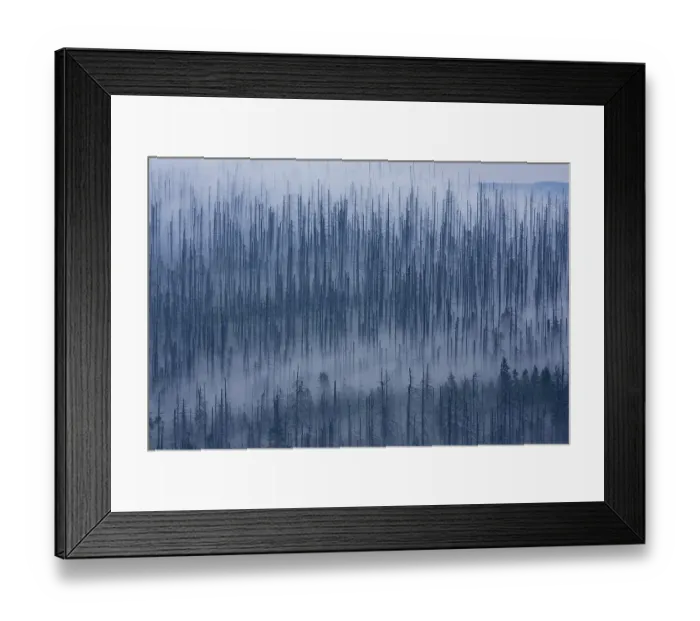 Framed Print : Cloudy mood on the peak of Lusen Mountain Framed Print : Cloudy mood on the peak of Lusen Mountain