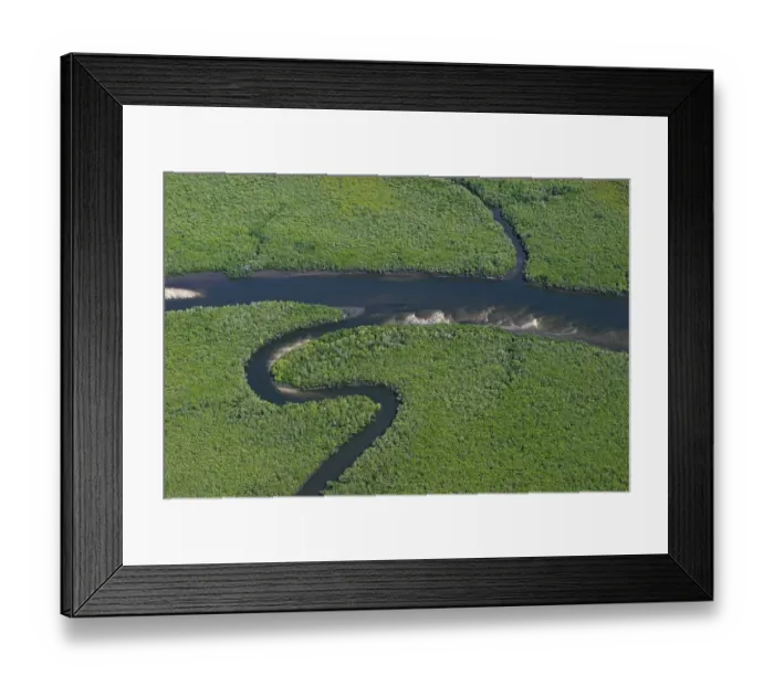 Framed Print : Aerial Photo of mangrove forests