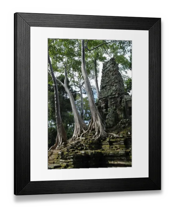 Framed Print : Rainforest growing over the ruins of Preah Paliliay tempel in the ancient city Angkor Thom Framed Print : Rainforest growing over the ruins of Preah Paliliay tempel in the ancient city Angkor Thom