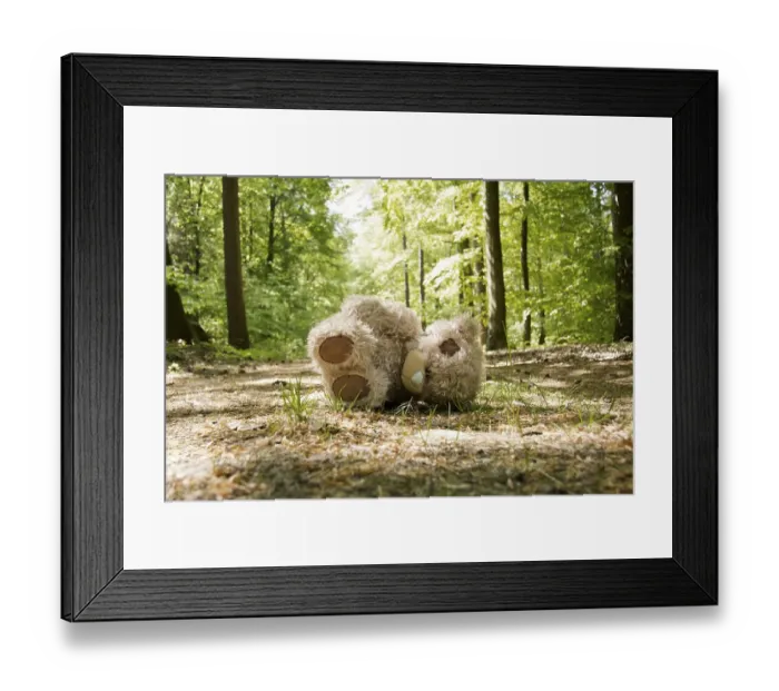 Framed Print : Teddy is left on a forest path
