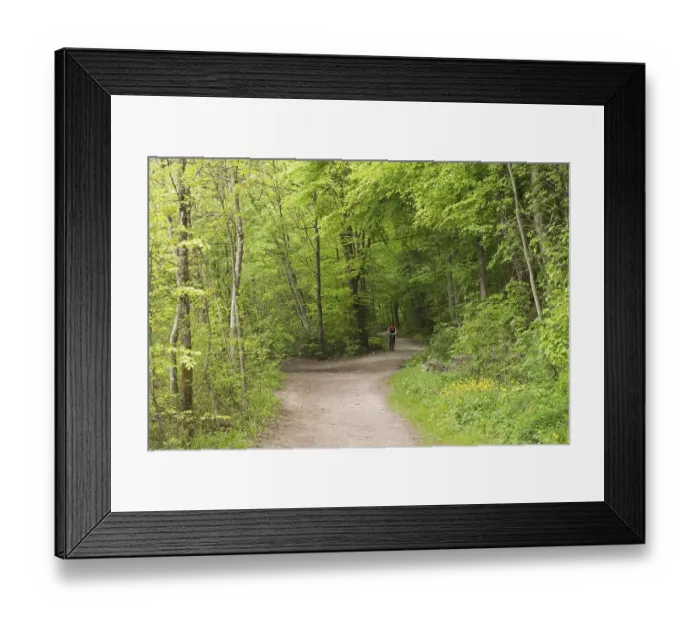 Framed Print : Biker in forest near Baierbrunn - Germany