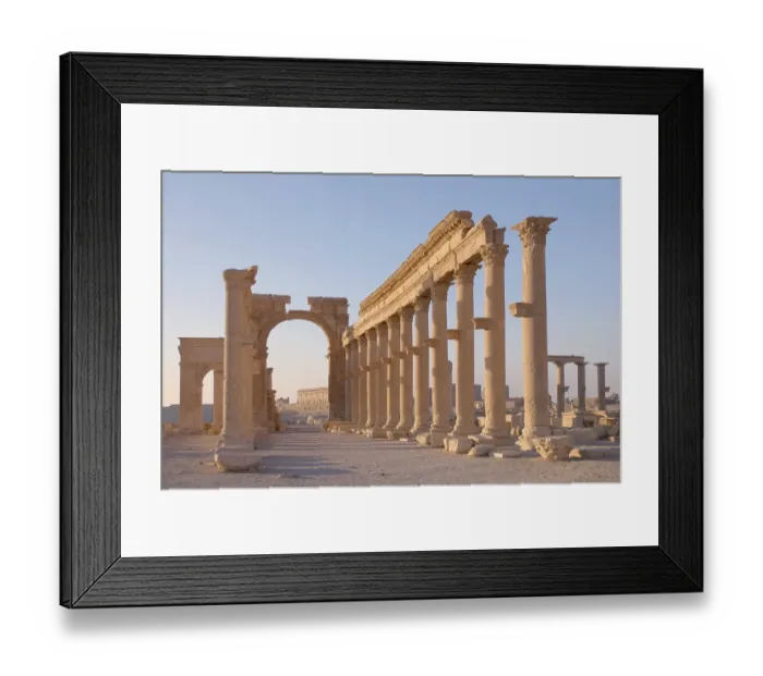 Framed Print : Ruins of the ancient city of Palmyra in the morning light Framed Print : Ruins of the ancient city of Palmyra in the morning light