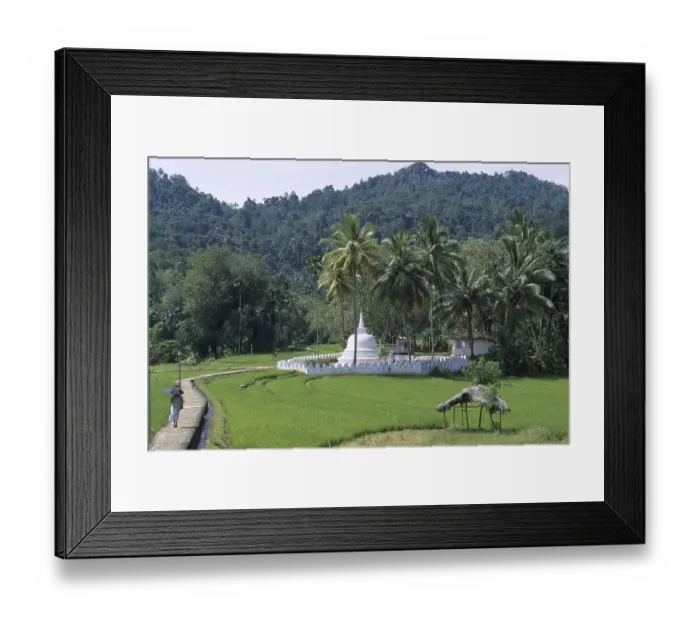 Framed Print : Temple, Kandy, Sri Lanka, South Asia, Asia
