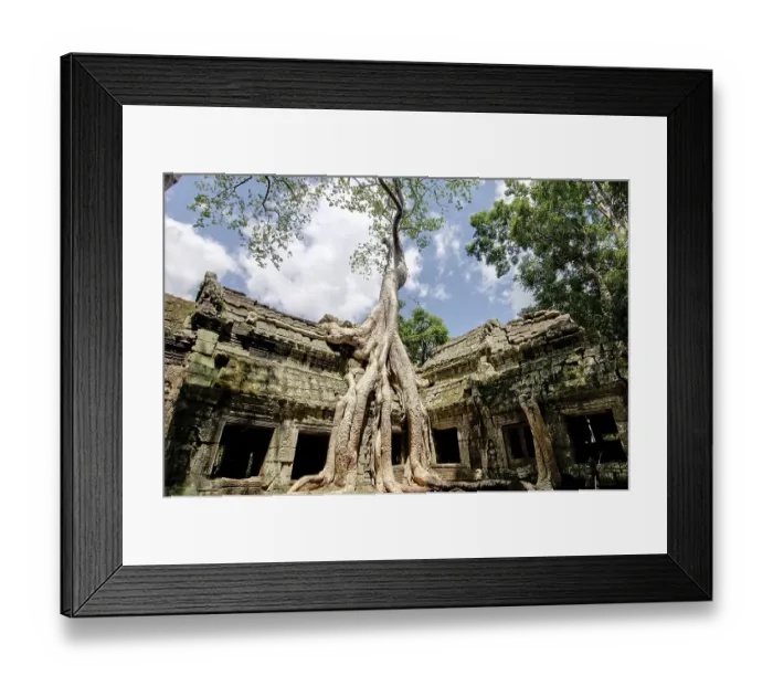 Framed Print : Ta Prohm, Angkor Wat complex, Siem Reap Framed Print : Ta Prohm, Angkor Wat complex, Siem Reap