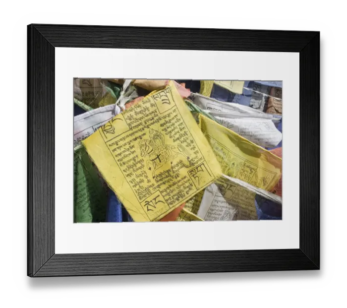 Framed Print : Buddhist prayer flags, Ladakh, Jammu and Kashmir