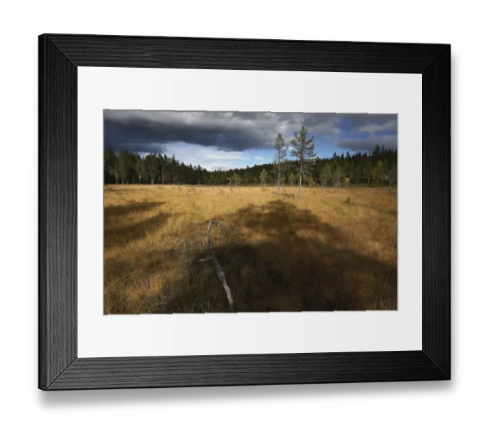 Framed Print : Autumnal landscape (panoramic view) Framed Print : Autumnal landscape (panoramic view)