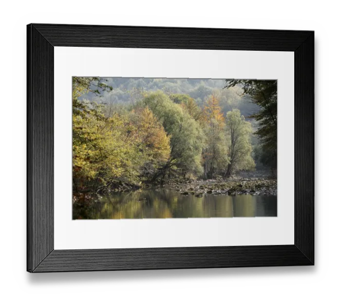Framed Print : Autumnal floodplains on the Kupa river Framed Print : Autumnal floodplains on the Kupa river