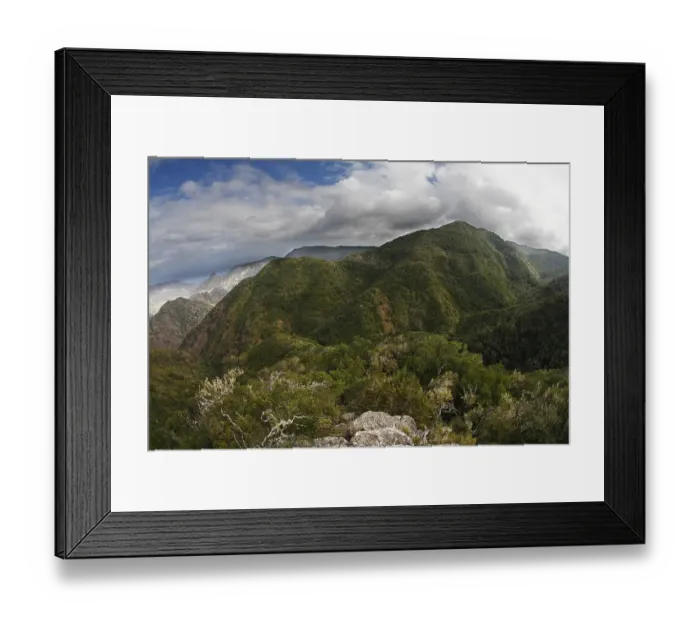 Framed Print : Garajonay National Park, Tree heath forest