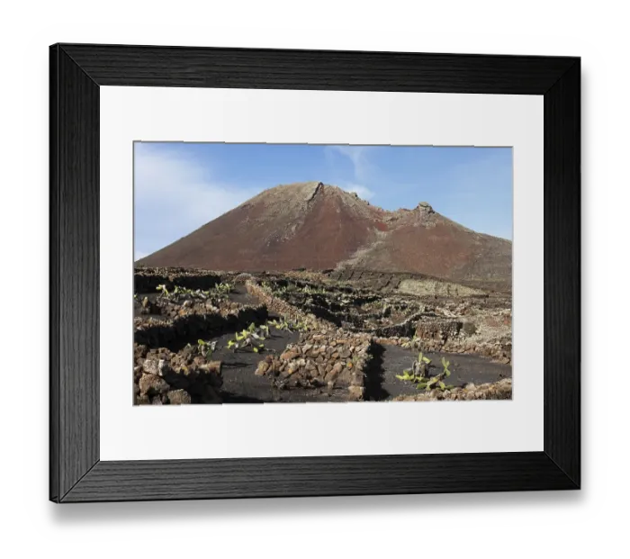 Framed Print : Fields of Prickly Pear (Opuntia)
