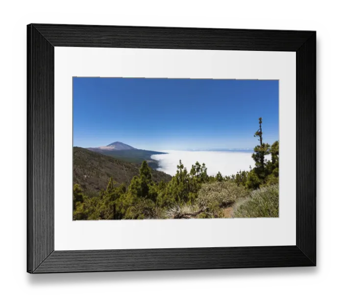 Framed Print : Landscape with vegetation typical of the Parque Nacional de las Canadas del Teide Framed Print : Landscape with vegetation typical of the Parque Nacional de las Canadas del Teide
