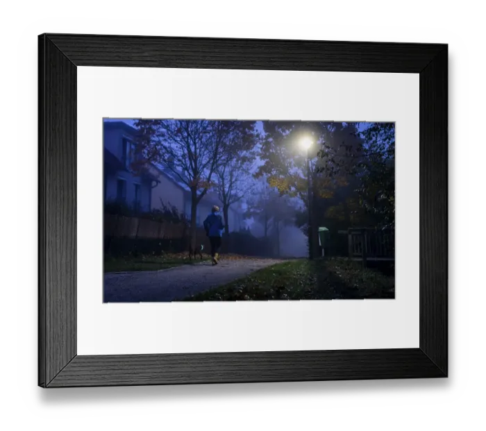 Framed Print : A woman walks her dog through a lonely park in Markt Swabia Framed Print : A woman walks her dog through a lonely park in Markt Swabia