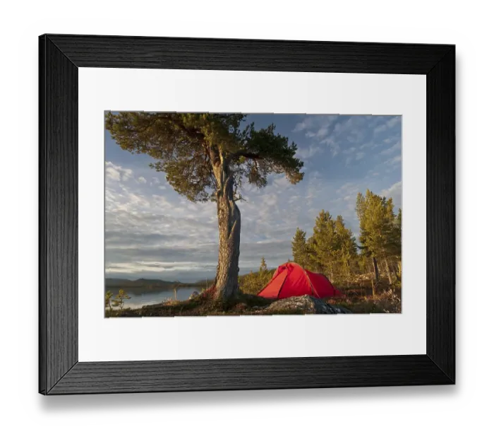 Framed Print : Tent at Lake Gutulisjoen, Gutulia National Park