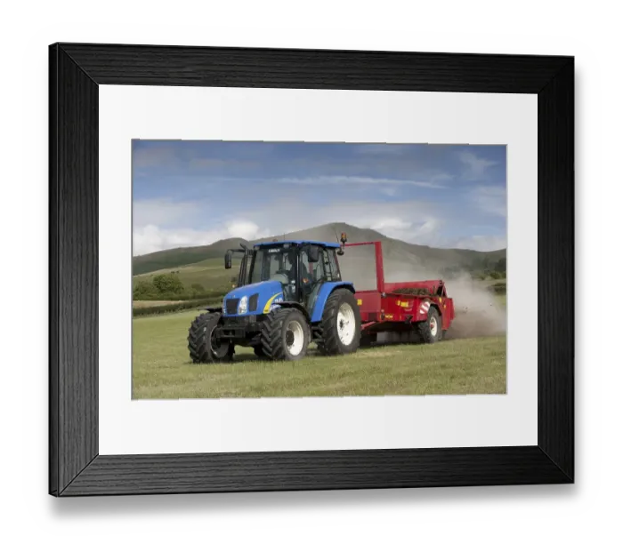 Framed Print : Tractor with muckspreader, spreading chicken manure mixed with lime on newly harvested meadow