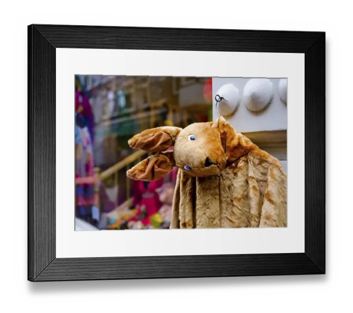Framed Print : Kangaroo Jacket made of Plush, hanging in front of shop windows Framed Print : Kangaroo Jacket made of Plush, hanging in front of shop windows