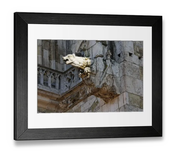 Framed Print : Gargoyle, St Peter cathedral, Regensburg