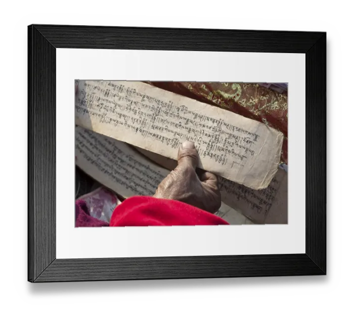 Framed Print : Tibetean monk reading the holy scriptures in Tibetan language