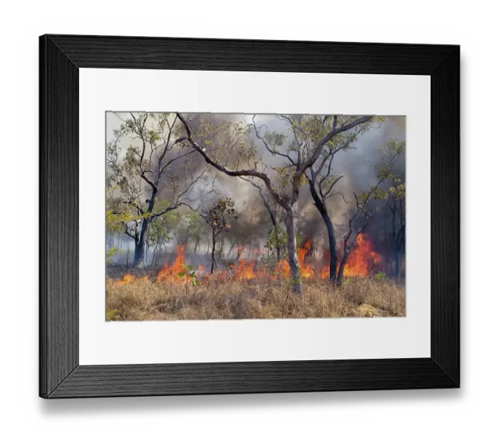 Framed Print : Bush fire, forest fire in Western Australia