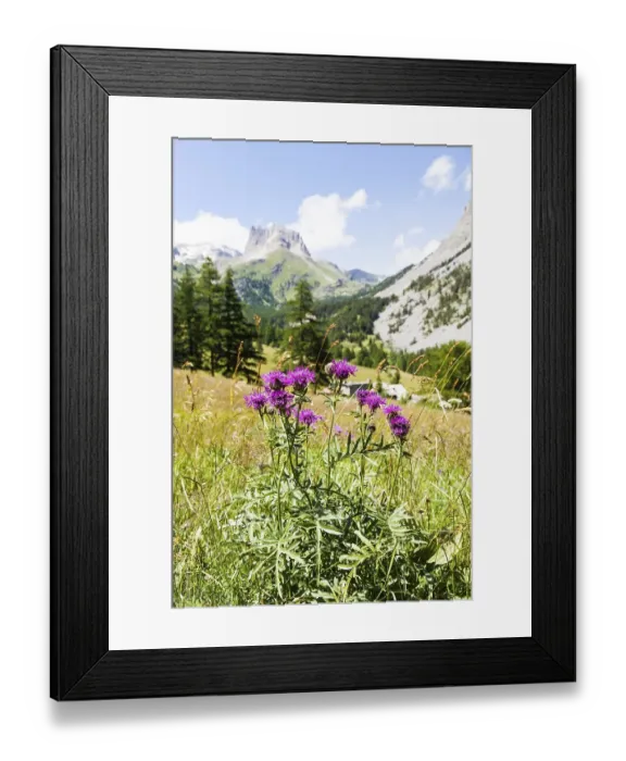 Framed Print : Close to Bardonecchia, Piemonte Region