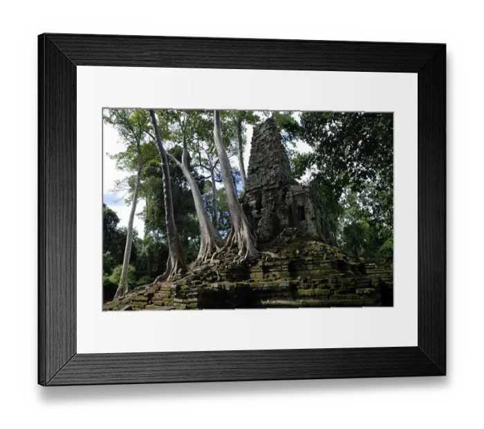 Framed Print : Rainforest growing over the ruins of Preah Paliliay tempel in the ancient city Angkor Thom