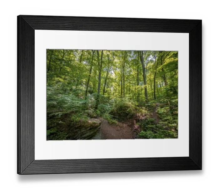 Framed Print : Limestone rocks in the mixed forest at Burschenplatz in the Rautal forest area with sun star in summer