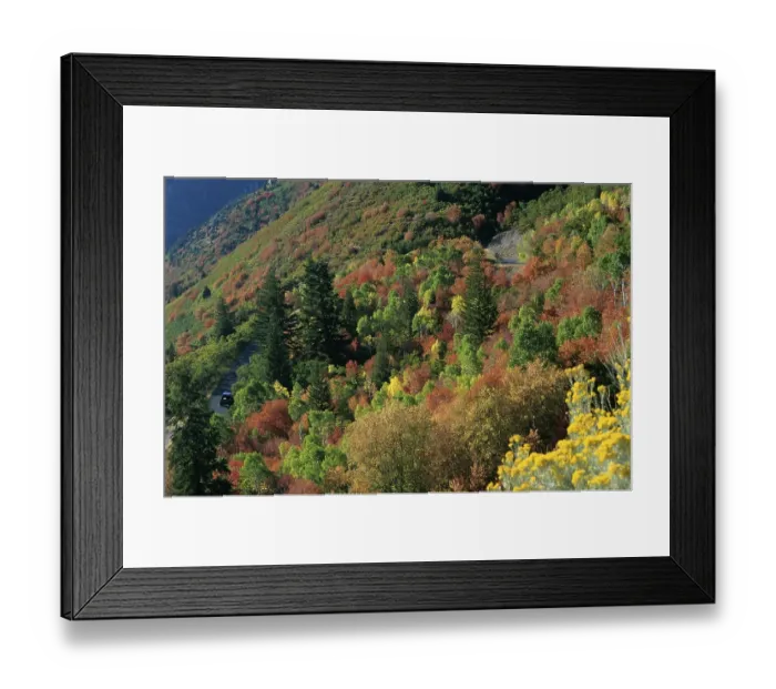 Framed Print : USA Utah Wasatch Range - American Fork Canyon - Alpine Loop Framed Print : USA Utah Wasatch Range - American Fork Canyon - Alpine Loop