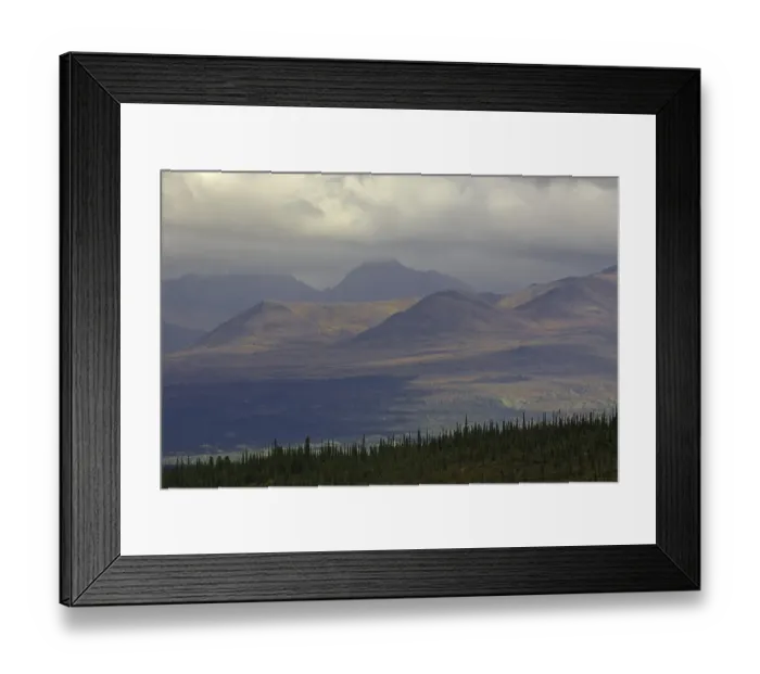 Framed Print : Denali Nationalpark in autumn area between Riley Creek and Savage RiverAlaska USA Framed Print : Denali Nationalpark in autumn area between Riley Creek and Savage RiverAlaska USA