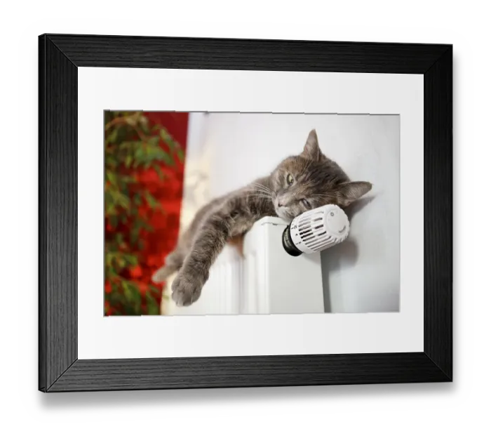 Framed Print : Lazy cat lying on a heater Framed Print : Lazy cat lying on a heater