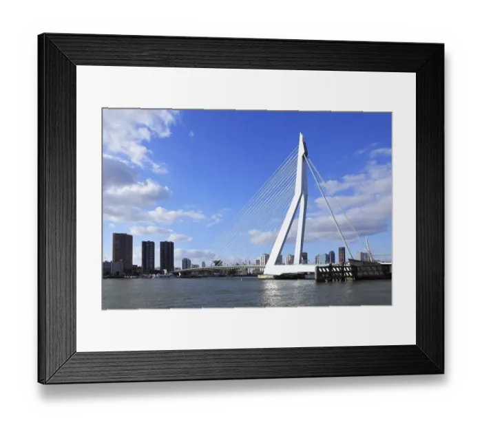 Framed Print : Erasmus Bridge, a cable-stayed bridge Framed Print : Erasmus Bridge, a cable-stayed bridge
