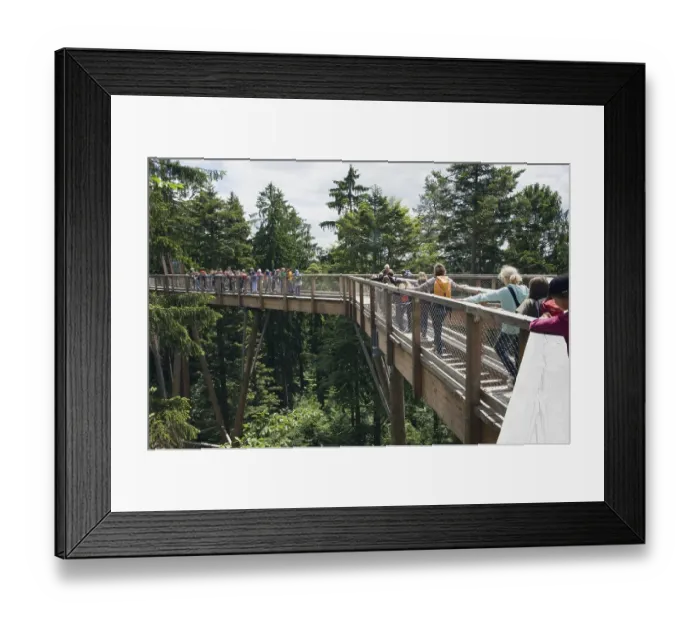 Framed Print : School children visiting the treetop walkway Framed Print : School children visiting the treetop walkway