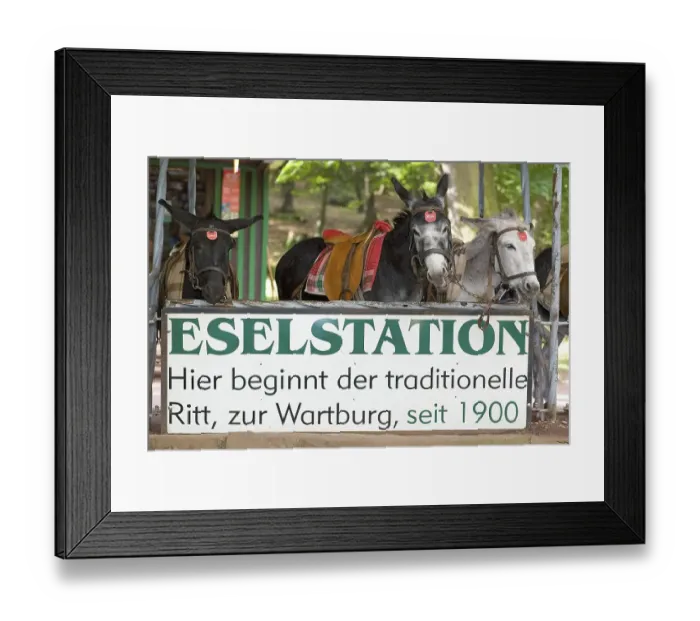 Framed Print : The donkey station below the Wartburg Castle