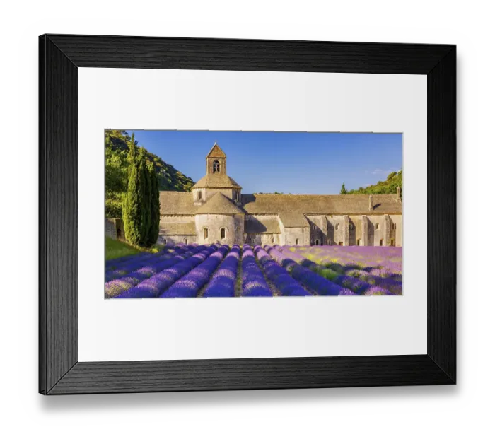 Framed Print : The Romanesque Cistercian Abbey of Notre Dame of Senanque set amongst flowering lavender fields
