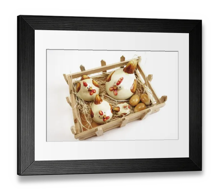 Framed Print : Small chicken pen Framed Print : Small chicken pen