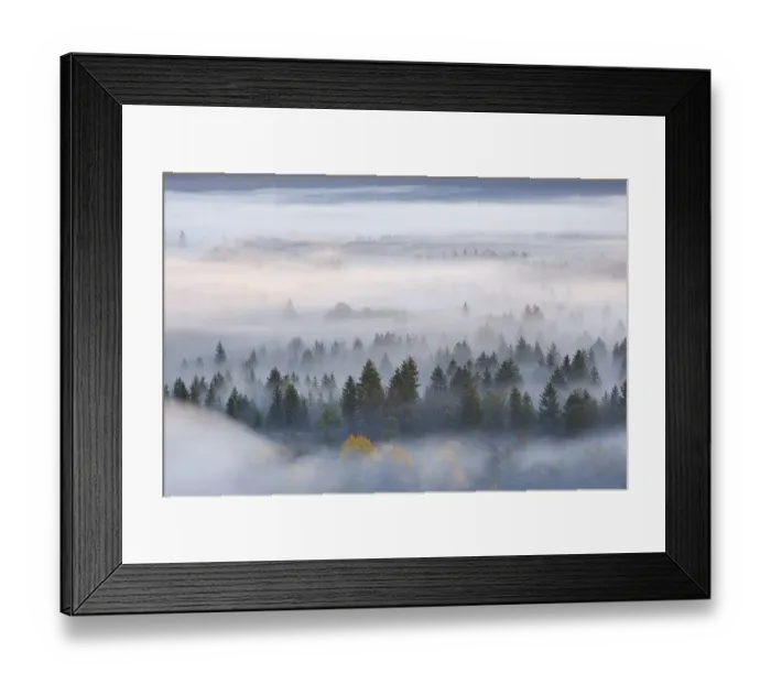 Framed Print : Fog in the Pupplinger Au at sunrise