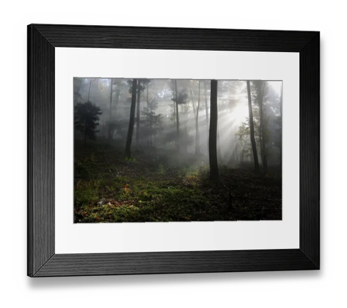 Framed Print : Autumn in a forest, sun beams cutting through mist