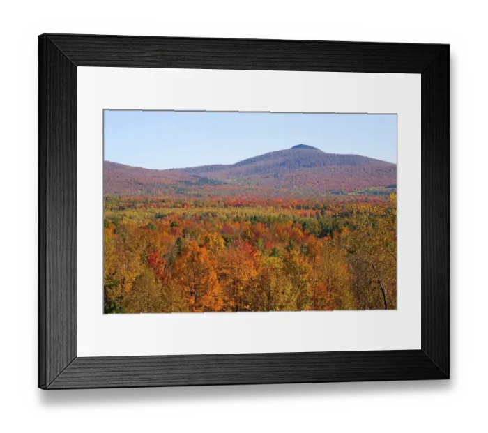 Framed Print : Landscape with trees in autumnal colours