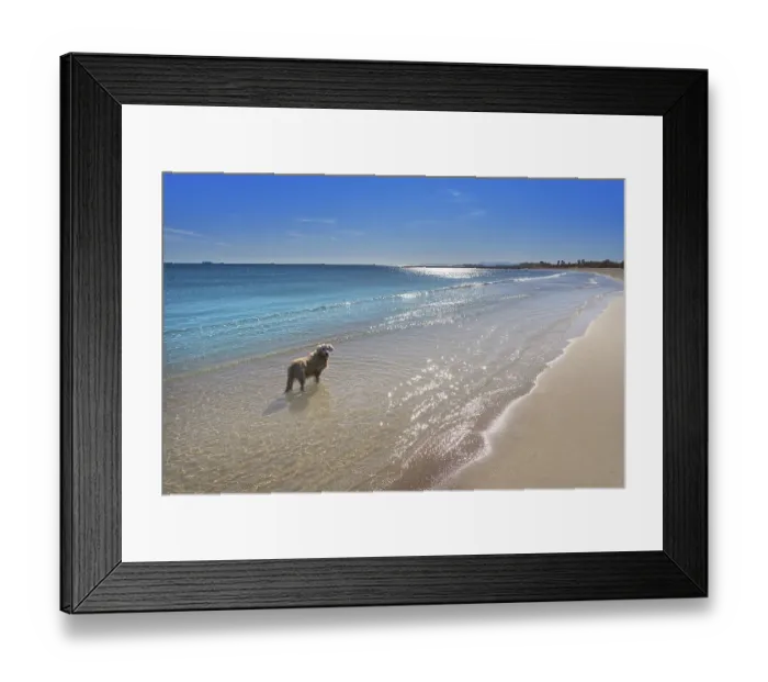 Framed Print : Pinedo dogs beach in Valencia at Mediterranean sea of Spain