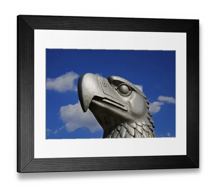 Framed Print : Eagle's head in front of Tempelhof Airport